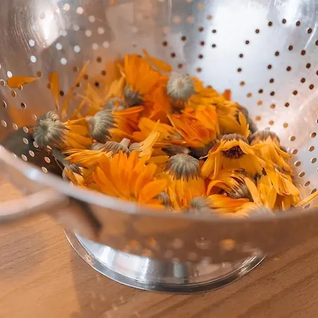 مزرعة للإقامة Archehof Eislbauer - Bauernhof Fuer Seele! *