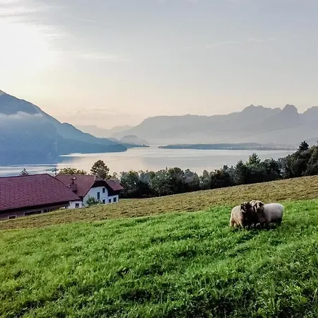 Archehof Eislbauer - Bauernhof Fuer Seele! سانكت جيلجن