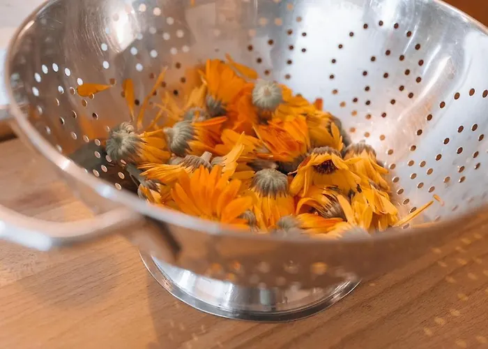 팜스테이 Archehof Eislbauer - Bauernhof Fuer Seele! *