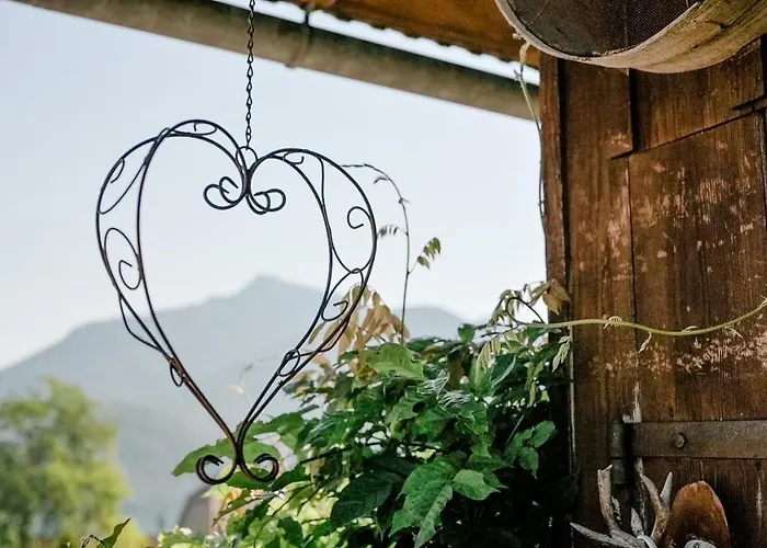 Archehof Eislbauer - Bauernhof Fuer Seele! * 성길벤