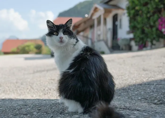팜스테이 Archehof Eislbauer - Bauernhof Fuer Seele! 성길벤